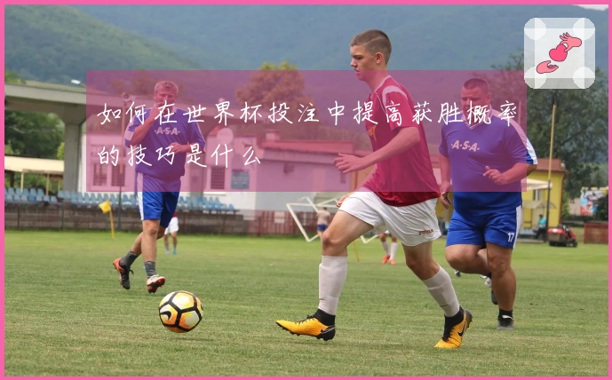 如何在世界杯投注中提高获胜概率的技巧是什么