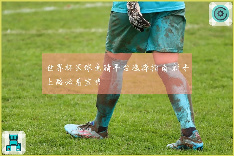 世界杯买球竞猜平台选择指南 新手上路必看宝典