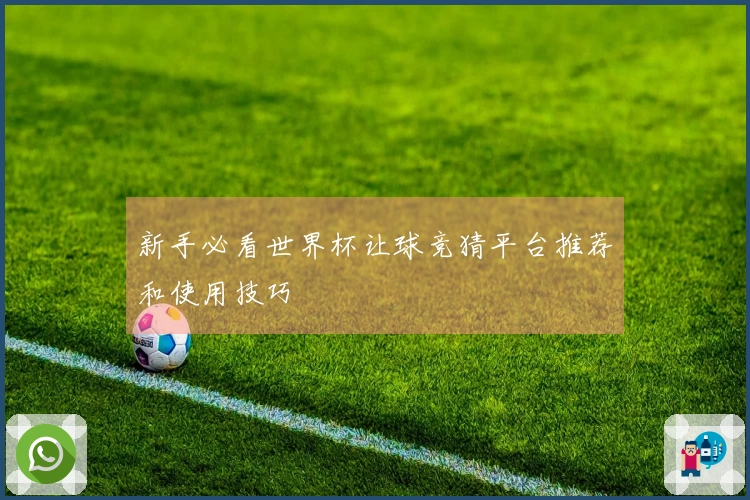 新手必看世界杯让球竞猜平台推荐和使用技巧