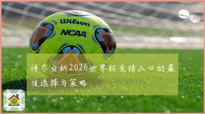 详尽分析2026世界杯竞猜入口的最佳选择与策略