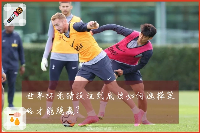 世界杯竞猜投注到底该如何选择策略才能稳赢？