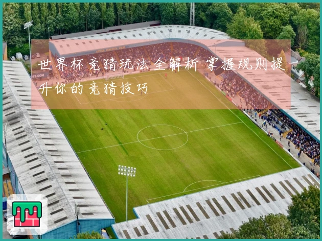 世界杯竞猜玩法全解析 掌握规则提升你的竞猜技巧