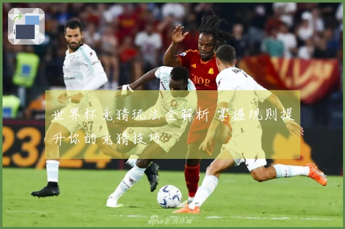 世界杯竞猜玩法全解析 掌握规则提升你的竞猜技巧