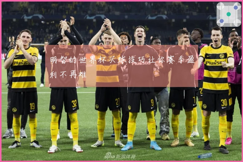 明智的世界杯买球技巧让你赛季盈利不再难