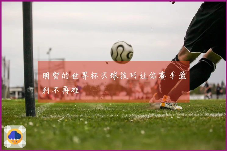明智的世界杯买球技巧让你赛季盈利不再难
