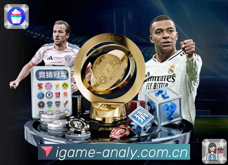 稳定访问登录器